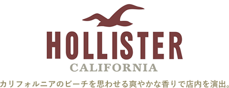 HOLLISTER CALIFORNIA