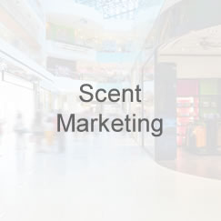 Scent Marketing